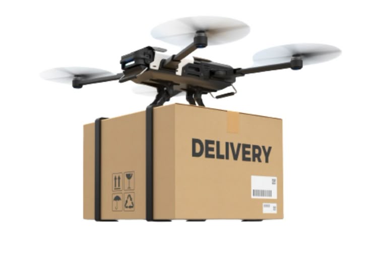 Cargo delivery drone